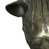 Horse head 1